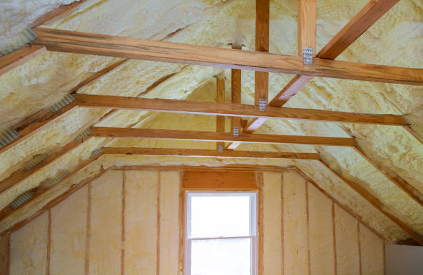 Best Insulation Contractor Near Me  in Peoria, IL