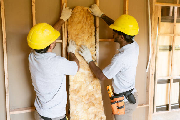 Best Best Insulation Companies  in Peoria, IL